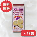 レーズンチョコチップクッキー 8枚入り × 12袋 4箱まとめ買い(4)