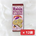 レーズンチョコチップクッキー 8枚入り × 12袋 1箱まとめ買い(4)