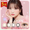 【ポイント5倍】FALOOM ファルーム 1day 【2箱20枚入り】 DIA14.2mm 14.5mm 着色直径 11.2mm 13.8mm UVカット 高含...