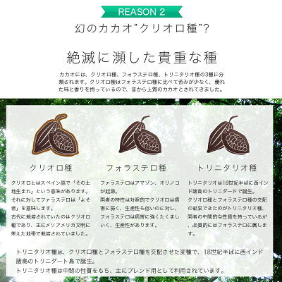 のカカオニブ