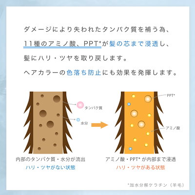 ダメージケア