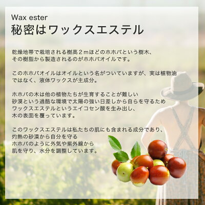 保湿