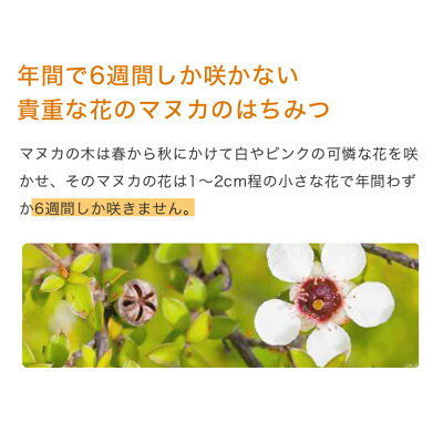 マヌカハニーUMF15+250gハニーバレースーパーフードニュージーランド産マヌカハニーなめらかでキャラメルのようなおいしいマヌカハニー