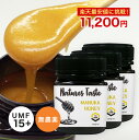 マヌカハニー UMF15+ 残留農薬検査済 無農薬 MGO514 相当 3個セット 250g ハニーバレー マヌカはちみつ スーパーフード 送料無料 ニュージーランド産 マヌカハニー キャラメルのようなおいしい [通]