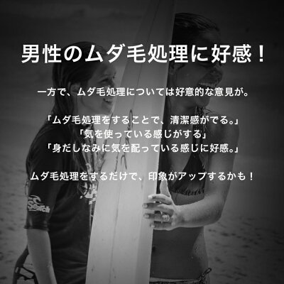 剛毛