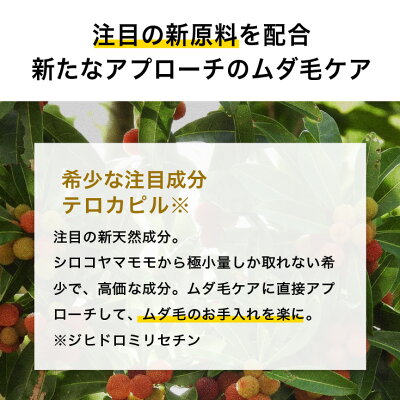 体毛