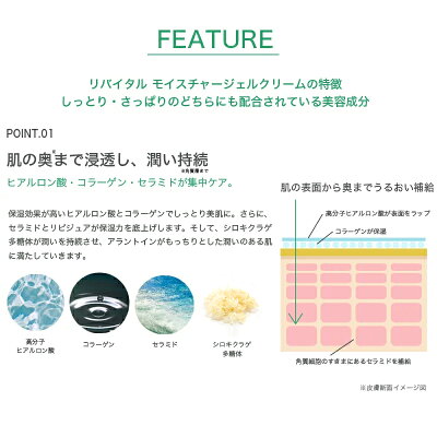 限定793円OFFクーポン付【オールインワンジェル無添加プラセンタコラーゲンリバイタライズモイスチャージェルクリーム(選べるしっとり・さっぱりタイプ)送料無料】