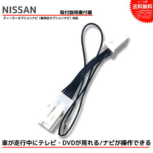 tvåȡۡƥӤۥ˥å NISSAN ǥ顼ץ 륰 2019ǯ ʥǤ ƥӥå ƥӥ󥻥顼 tv󥻥顼 dvd  ƥ İ ƥӤ륭å ʥ ƥʥ 󥻥顼