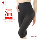 レギンス レディース 裏パイル 日本製 スパッツ インナー 冷え取り 冷房対策 寒がりさんのあったかパイルインナーパンツ 美脚スタイル