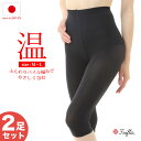 【20%OFFクーポン・7/19 20時から4時間限定】【2足セット】レギンス スパッツ レディース 裏パイル 日本製 インナー 冷え取り 冷房対策 寒がりさんのあったかパイルインナーパンツ 美脚スタイル
