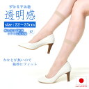 ストッキング クルー丈 まとめ買い日本製 高品質 パンスト パンティストッキング 抗菌防臭 静電気防止 買い替え 新生活 美脚スタイル
