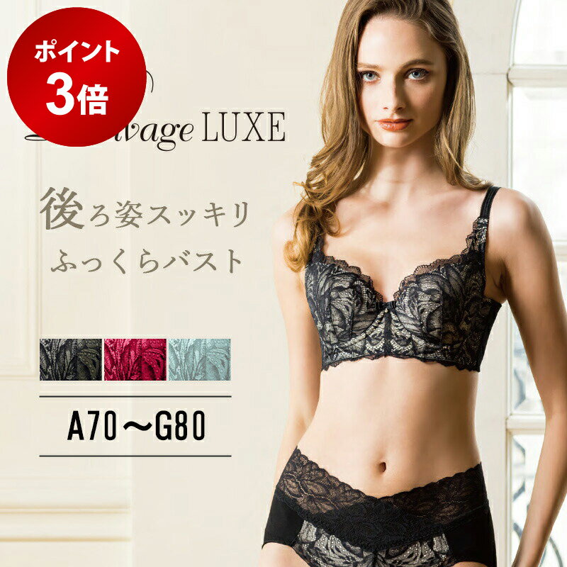 楽天コスメ＆ビューティー 美way【ポイント3倍★12/4 20:00 〜 12/11 1:59】 Divage LUXE ブラジャー ブラ エルローズ 矯正 下着 育乳 痛くない 谷間 補正 沸き肉 贅肉 ディヴァージュ リュクス 202512SS