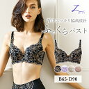 Zoe ブラジャー B〜Dカップ 補正下着 矯正 脇高設計 3/4カップ ブラ 補整 痛くない 育乳 脇高 谷間 スッキリ