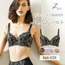 【ポイント5倍★4/20 00:00 ～ 4/20 23:59】 Zoe ブラジャー E～Gカップ 補正下着 矯正 脇高設計 3/4カップ ブラ 補整 痛くない 育乳 脇高 谷間 スッキリ