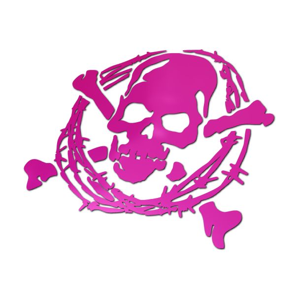 【中サイズ】鏡面カッティングステッカー スカル（ドクロ） タイプC2有刺鉄線枠 13cm×11.8cm メッキタ..