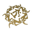 トライバル梵字ステッカー 火焔光背 守り本尊 B タラーク 虚空蔵菩薩(丑寅)ゴールドラメ