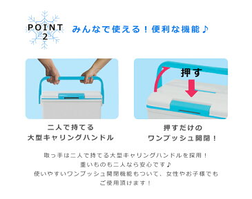 【送料無料】クーラッボクス デオライド 10 肩掛けベルト付き 幅29.6cm 奥行20cm 高さ27.3cm 本体920g 消臭 機能つき 【収納目安】 350ml缶 12本 ペットボトル 500ml 6本 お花見 レジャー アウトドアなどに【ラッキーシール対応】