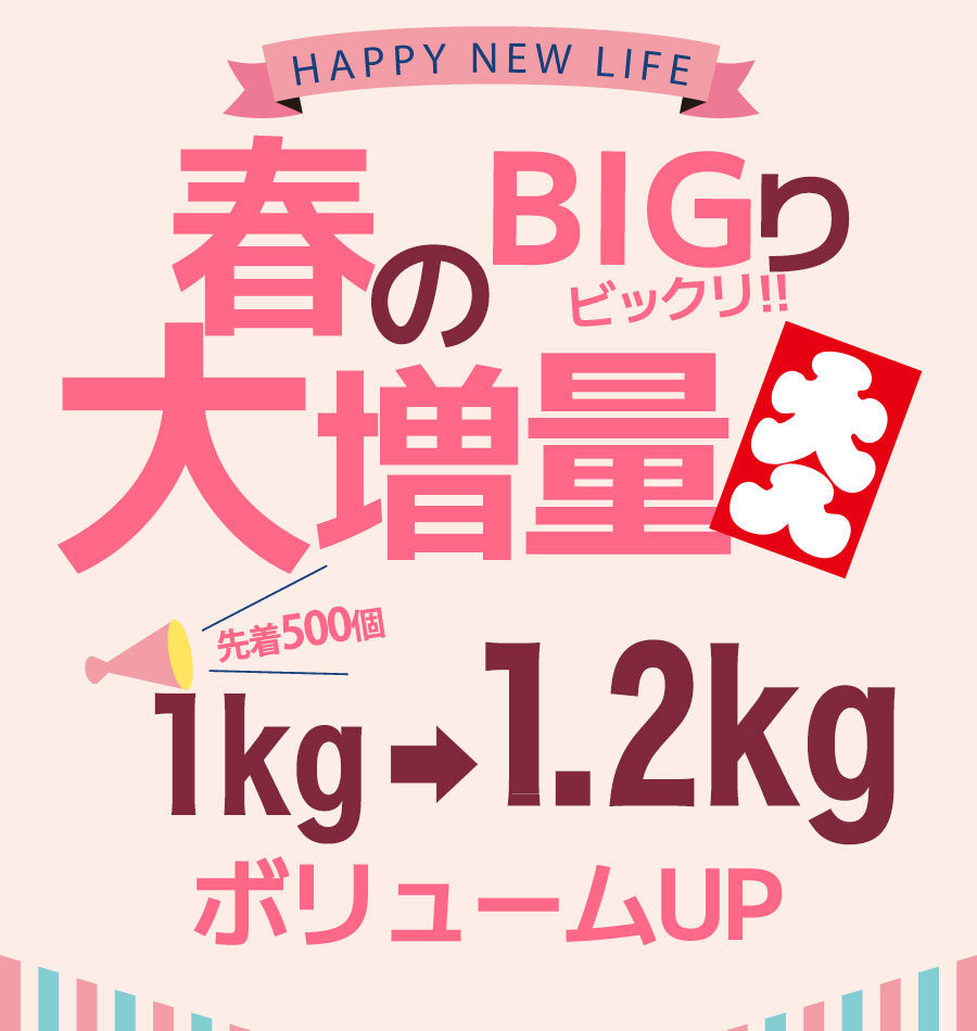 1.2kg増量！夏の豆乳おからクッキー 送料無料 訳ありヘルシースイーツ B.LABO サムネイル2
