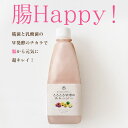 賞味期限4/23まで　糀と乳酸菌のW発酵パワー！乳酸菌が1本に500兆も入ってる！　腸活　甘酒　麹菌　発酵　酵素　ビードットラボ　ビーラボ　B.LABO 蒲屋忠兵衛商店　ダイエット