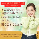 bea-labo:10001105のサンプル画像2