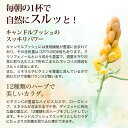 bea-labo:10001105のサンプル画像3