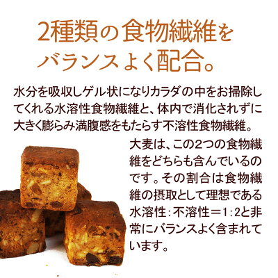 【大麦と果実のソイキューブ】小麦粉不使用でとってもヘルシー♪食物繊維たっぷりで満腹感ばっちり&お腹スッキリ!果実とナッツがたっぷり美味しくダイエットビードットラボビーラボB.LABO蒲屋忠兵衛商店【10P12Oct14】