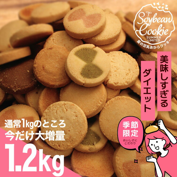 【300万ポイント山分け中！】おからクッキー ビスケット ダイエット ジュゲン SOYPLUS 寿元ビスケット 3枚×6 10個セット 送料無料