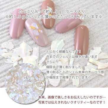 ☆★オーロラシェルフレーク★☆ 約1.5g 【ケース入り】 ネイル パーツ nail parts