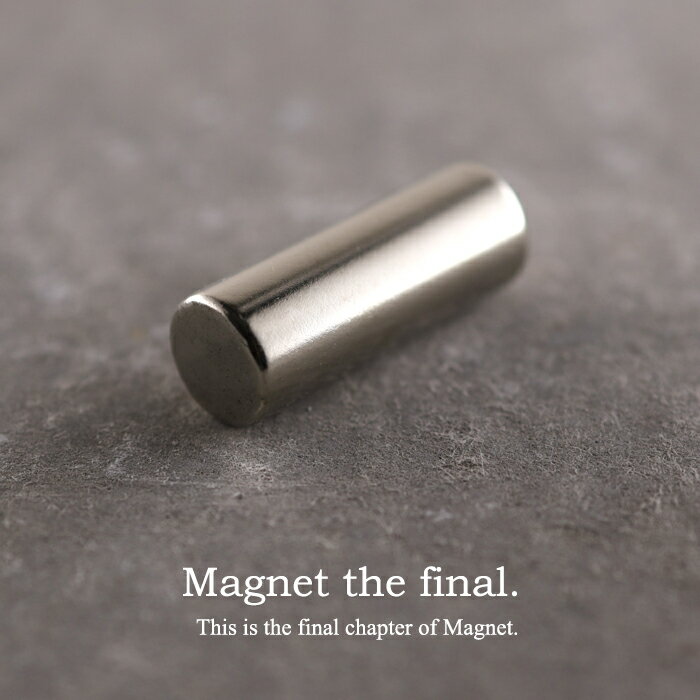 【訳アリ】【取扱注意】 Magnet the final. 超強力磁石 スティックタイプ ジェル ネイル