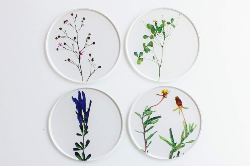 C トウメイ コースター 4枚セット toumei カタバミ メドセージ コマツヨイグサ ハゼラン