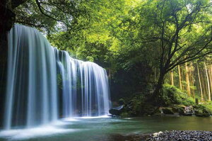 1000ピース ジグソーパズル 癒しの水簾(熊本県鍋ヶ滝) (50x75cm)