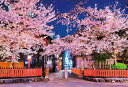 【日本製】ビバリー 1000ピース ジグソーパズル 祇園の夜桜(49×72cm)1000-050(3)