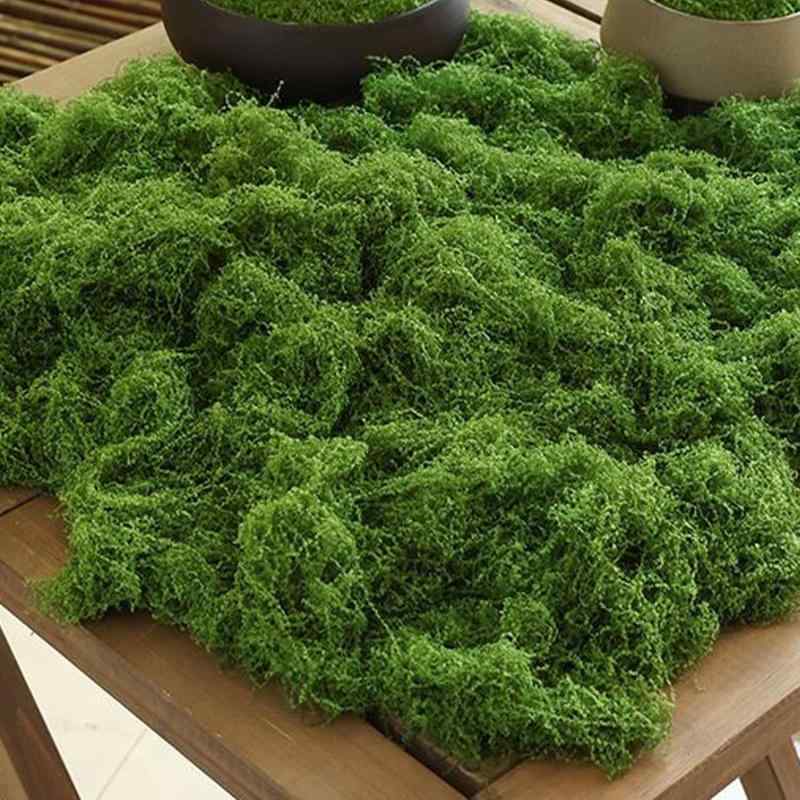 siawadeky フェイクモス 人工グリーン植物 200g 大量 苔 フェイクグリーン 耐久性 枯れない 工芸品 水..