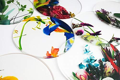 toumei トウメイ 生け花 コースター 4枚セット 木箱入り