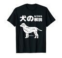 犬のなでかた解説 犬好き プレゼント アイデア ギフト サプライズ わんこ 半袖 ペット プリント 犬の日 おもしろ Tシャツ