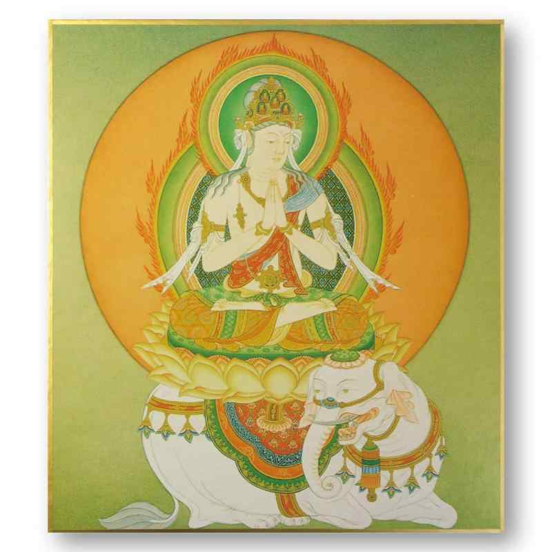 色紙 仏画色紙 仏画 普賢菩薩 ふげんぼさつ(3)