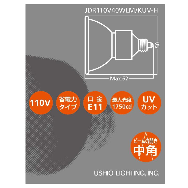 ウシオ ハロゲンランプ【10個セット】 110V 40W 中角 ダイクロハロゲンADVANCE JDR110V40WLM/KUV-H