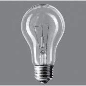 日立 L100V100W クリア電球