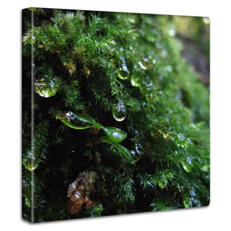 植物 自然 アートパネル 100cm × 100cm XLサイズ 日本製 ポスター おしゃれ インテリア 模様替え リビング 内装 グリーン 雫 風景 ファブリックパネル rsb-0002-XL