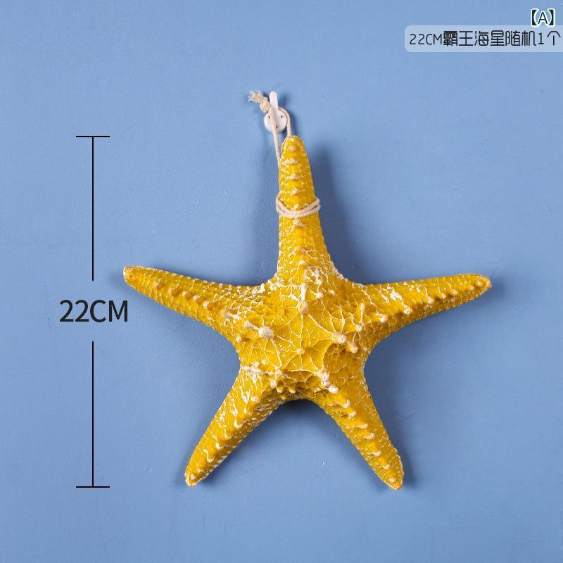 Rakuten - 地中海 22 cm 覇王 海星 装飾 スト ラップ 創意 シミュレーション 樹脂 レストラン 子供部屋 背景 壁面 壁掛け