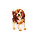 アイロンワッペン【パピー ビーグル dog 犬】アメリカ 刺繍 アップリケ 中