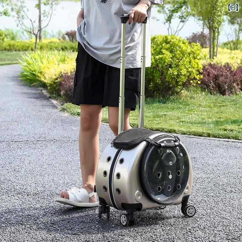 ビーチドロップの2025 新しい 透明 スペース カプセル 多目的大 容量 ポータブル 小型 犬 2 匹 バック パック 外出 バッグ 外国 貿易｜アングル2