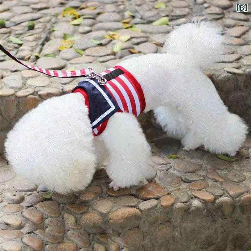 ビーチドロップのペット 犬 犬 牽引 紐 胸 ストラップテディ 貴賓 博美 ベストドッグラン 犬 チェーン 子犬 小型 犬｜アングル2