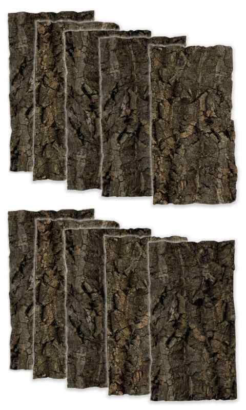 WinJapan ��������� ���륯���� B���� ���� �ӥ������� �� ����� ���տ�ʪ ��ʪ �إ���