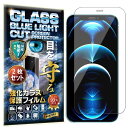 【ブルーライトカット 93%】2枚 RISE ガラスフィルム フィルム iPhone 12 / iPhone 12 Pro 用 保護フィルム 強化 ガラス 透過率99% 高光沢 日本製 旭硝子 硬度9H 2.5Dラウンドエッジ 自動吸着 気泡ゼロ 飛