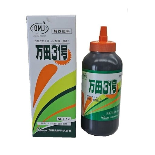 万田31号 1L 万田31号 1L