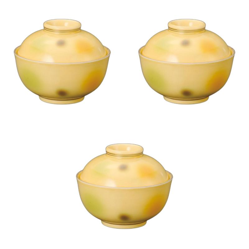 3�ĥ��å� �������������ʪ�� [ 11.5��9cm ] | ��ʪ��ƫ���� ���ȥ�Υۥ��(Setomonohonpo)