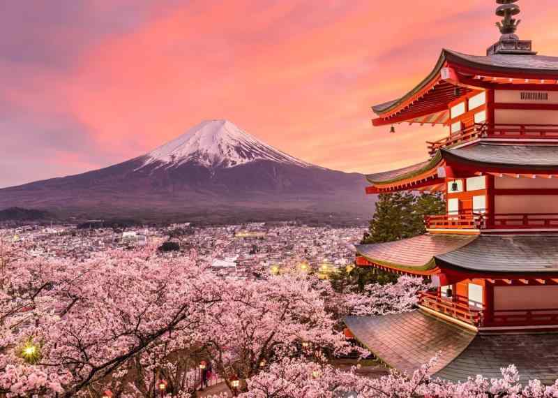 koundeneko 桜 タペストリー 大判 和風 満咲の桜 富士山 お寺 夕焼け 壁掛け 布ポスター 背景布 カーテン アート 遮光 目隠し 気分転換 壁飾り パーティー 祝い お店 部屋 窓 玄関 和室 インテリ
