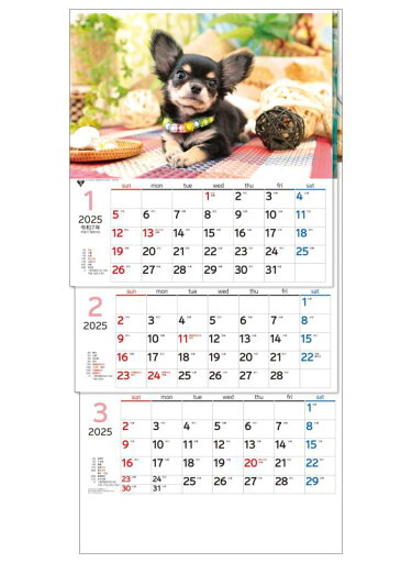 トーダン 2025年 カレンダー 壁掛け ワンニャン3ヶ月(上から順 / ミシン目 / 日付マーカー付) 75 x 35cm TD-30775 トーダン 2025年 カレンダー 壁掛け ワンニャン3ヶ月(上から順 / ミシン目 / 日付マーカー付) 75 x 35cm TD-30775