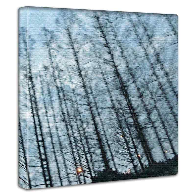 木 空 アートパネル 57cm × 57cm Lサイズ 日本製 ポスター おしゃれ インテリア 模様替え リビング 内装 自然 写真 風景 ファブリックパネル hat-0009-L